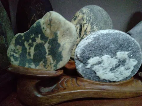 Hồ Công Khanh: Nhà thư pháp với thú chơi độc bản cây cảnh, kỳ mộc và quái thạch