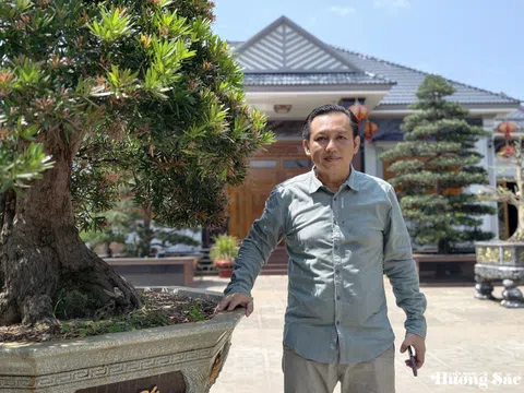 Giao thoa giữa kiến trúc truyền thống và triết lý nhân sinh trong không gian Việt