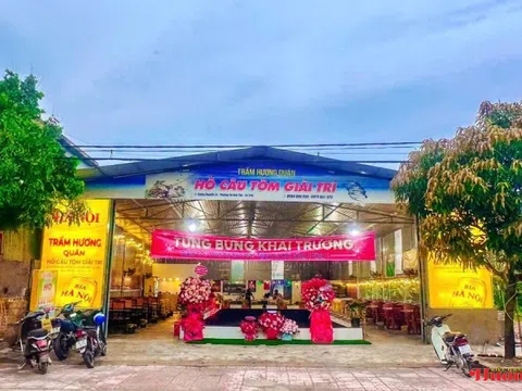 Hà Tĩnh: Câu tôm giải trí – mô hình kinh doanh độc đáo hút khách ngày cuối tuần