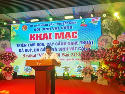 Triển lãm hoa cây cảnh nghệ thuật chào mừng Festival “Về miền di sản 2026”