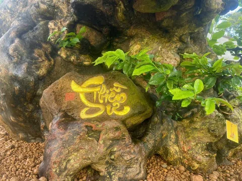 ​"Thiền Sư": Cốt cách Chồi Mồi giữa lòng phố núi Pleiku