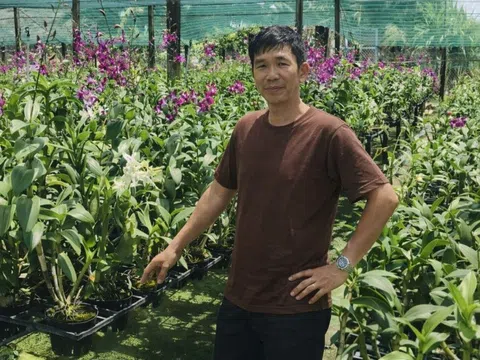 TP.HCM: Không cần đất rộng, vẫn kiếm tiền tỷ nhờ trồng lan