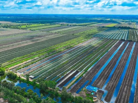 Đồng Tháp chuyển mình với nông nghiệp sinh thái đa giá trị