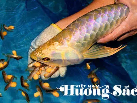 Hoàng Mạnh Long: Người dệt "giấc mơ rồng" & hệ sinh thái đa giá trị