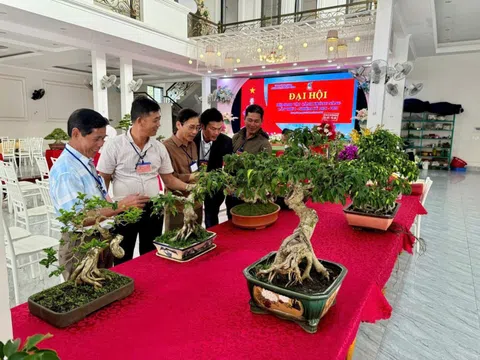 Phong trào sinh vật cảnh xã Krông Năng, tỉnh Đắk Lắk – 15 năm một chặng đường