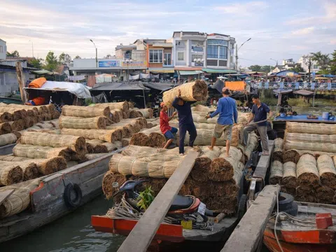 Nhịp sống đặc biệt tại làng chiếu trăm năm ở Định Yên, Đồng Tháp