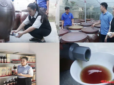 Hà Tĩnh: Nuôi con côn trùng "đặc sản" thơm cay mở lối làm giàu