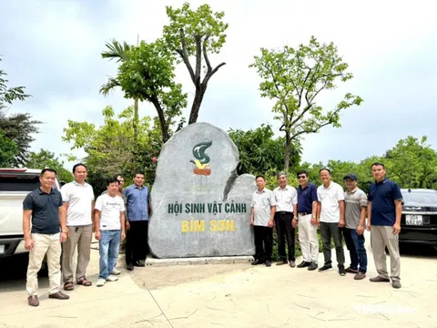 Làng đá Ba Lá: Đánh thức “mỏ vàng” sinh vật cảnh xứ Thanh