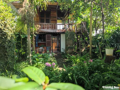 Chuyện kể những chàng trai Ê đê “đưa rừng về nhà”