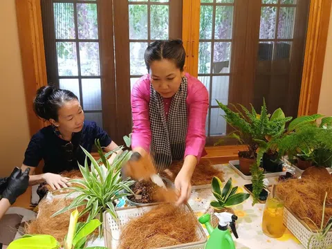 Cocodama – Khi xơ dừa Việt “nảy mầm” nghệ thuật chữa lành giữa phố thị