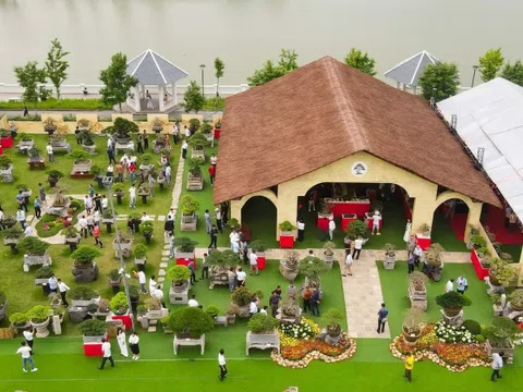 Khai mạc Triển lãm Mùa xuân – Nghệ thuật Bonsai 2026