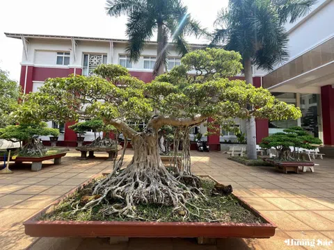 Kỳ 2: Bảo tồn sinh vật cảnh với hệ thực vật đa dang, phong phú