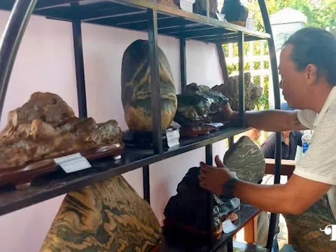 Đá cảnh Duy Xuyên “xuất ngoại”: Từ dòng Thu Bồn đến sân khấu toàn cầu