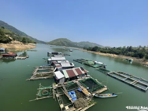 Nuôi cá lồng trên dòng sông Sêrêpốk