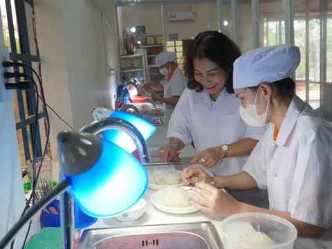 Phát triển ngành yến: Cần một chiến lược cho tài nguyên sinh học đặc biệt