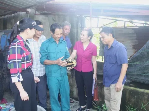 Nuôi con cứ động là rụt cổ, cầm lên ai cũng tò mò, chủ trại ở Thanh Hóa thu tiền tỷ