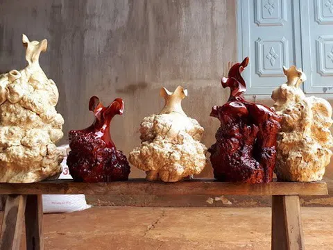 Chế tác gỗ mỹ nghệ từ gốc cây cà phê lâu năm