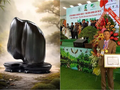 Tác phẩm “Soi Bóng” và dấu ấn của một nhà sưu tập đá cảnh tại ASPAC 15