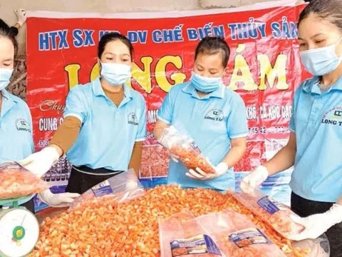 Nâng tầm đặc sản làng nghề từ mô hình chế biến OCOP