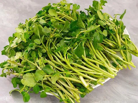 Loại rau bình dân của người Việt được Mỹ chấm điểm dinh dưỡng tuyệt đối