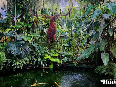 Quán cà phê độc đáo như một "ốc đảo" bên dòng sông Hàn