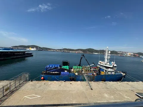 Từ “thẻ vàng” đến tái cấu trúc nghề cá: Bài học từ Hàn Quốc và cơ hội cho Việt Nam