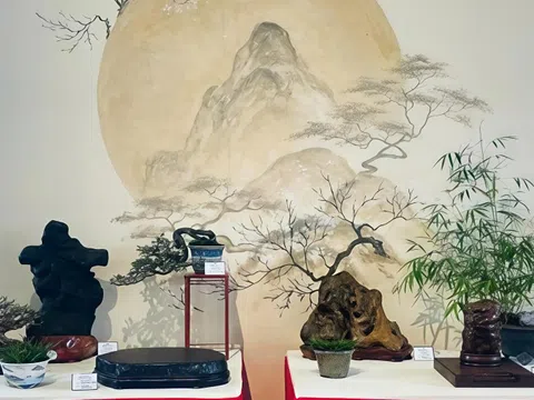 Bonsai và Suiseki - hành trình song hành của nghệ thuật và tinh thần phương Đông