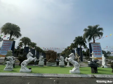 Trưng bày sinh vật cảnh tại Triển lãm Made in Da Nang Expo 2026: khẳng định vị thế của sinh vật cảnh trong nhịp sông đô thị