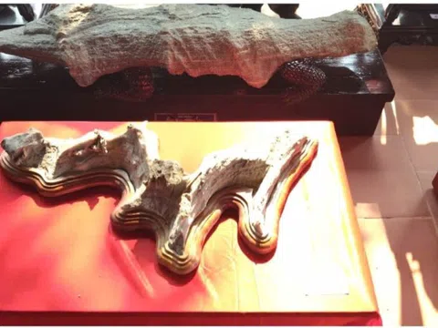 Tuyệt tác đá cảnh độc đáo của Nghệ nhân ưu tú Trần Văn Anh