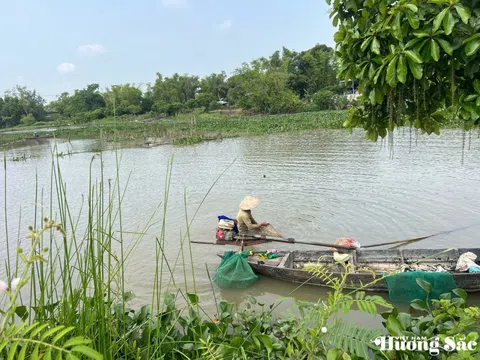 Sông Đầm – nơi hương sưa “đánh thức” hồn xứ Quảng