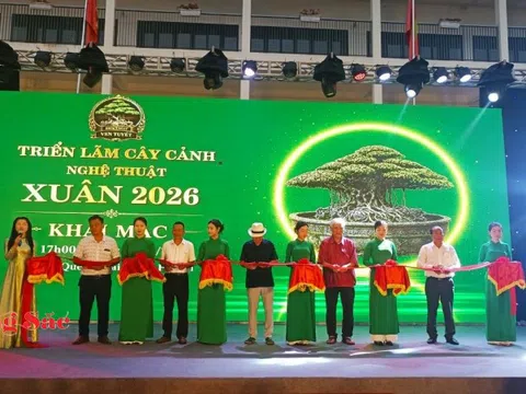 Hà Nội: Khai mạc Triển lãm Cây cảnh Nghệ thuật Xuân 2026