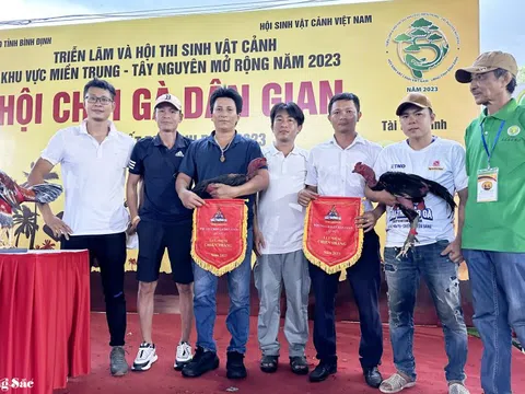 Gà nòi: Từ di sản của cha ông đến thú chơi nghệ thuật dân gian