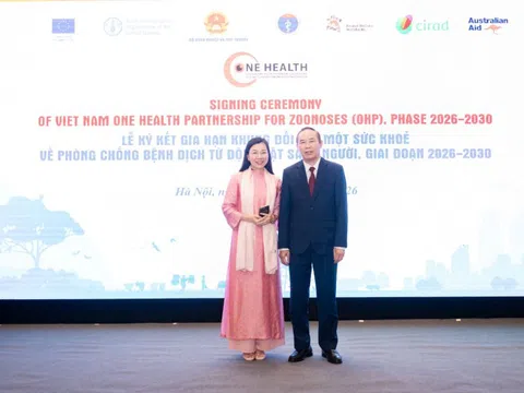 Có một người sếp “gánh Team”