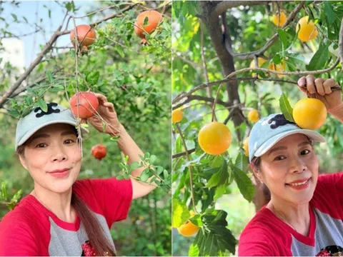 Vườn nhà ca sĩ Mỹ Lệ: Bí hồ lô sai quả ngoài mong đợi, mít xoài lựu chín rộ suốt bốn mùa