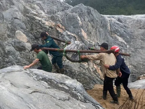 Những người "săn linh hồn của đá"