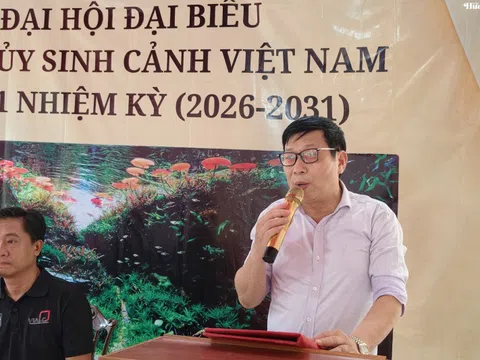 Ra mắt Câu lạc bộ Thủy sinh cảnh Việt Nam: Bước ngoặt cho cộng đồng