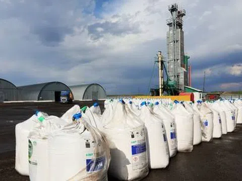 Thị trường phân bón sôi động: Xuất – nhập khẩu đều tăng mạnh trong nửa đầu năm 2025