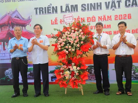 Triển lãm sinh vật cảnh phường Từ Sơn: Lan tỏa sắc xanh văn hóa Kinh Bắc