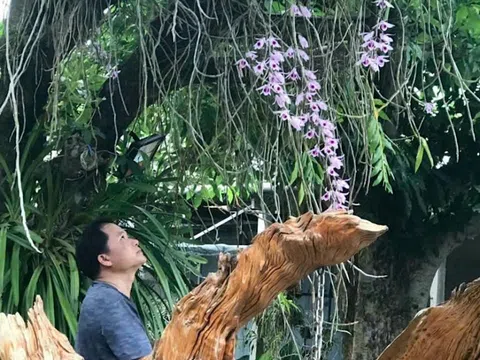 Nghệ nhân Phạm Minh Sơn: Người đưa sắc xanh trở lại không gian sống đô thị
