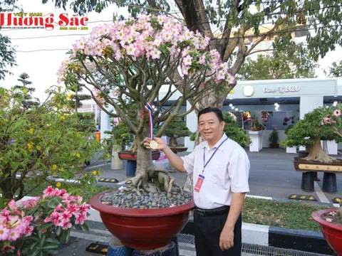 Nghệ nhân Huỳnh Đức Thuận: Mỗi gốc sứ là một tác phẩm tâm huyết