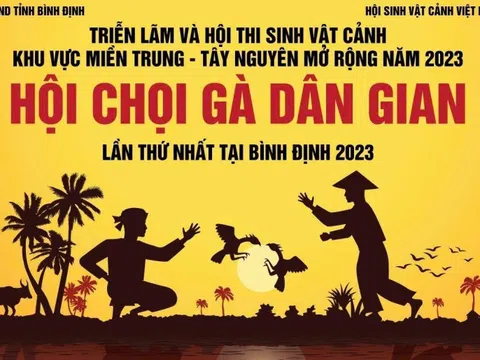 Hành trình tìm lại bản sắc "Nhân - Đức - Võ"