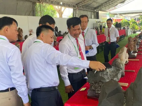 Những người "cầm cân nảy mực" tại Hội thi và triển lãm đá nghệ thuật nguyên bản - suiseki, Festival Sinh vật cảnh – Cây xanh Di sản lần III