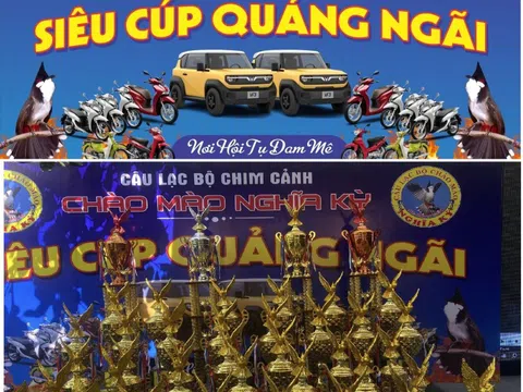 Siêu cúp chim Chào mào nở rộ: Giá trị văn hóa đứng trước áp lực thương mại hóa