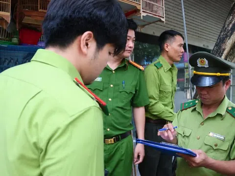 Kiểm tra chợ chim lớn nhất Hà Nội: Phát hiện nhiều loài thuộc diện quản lý