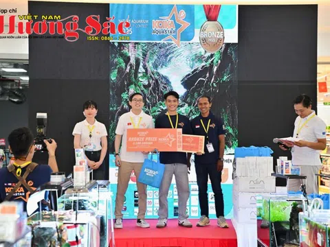 Huỳnh Nguyễn Minh Thiện: "Cậu Út" tài năng và làn gió mới của Thủy sinh cảnh Việt Nam