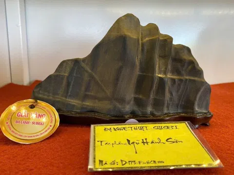 Hội thi Đá cảnh nguyên bản – Suiseki tại Festival Sinh vật cảnh & Cây xanh Di Sản lần 3 năm 2026