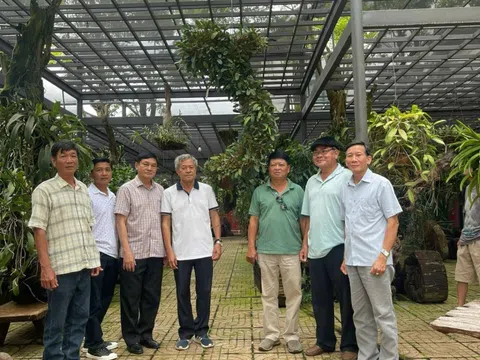 Kỳ 4: Vườn lan trong lòng phố