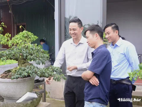 Anh Kim Văn Kiên với hành trình giữ lửa đam mê bonsai