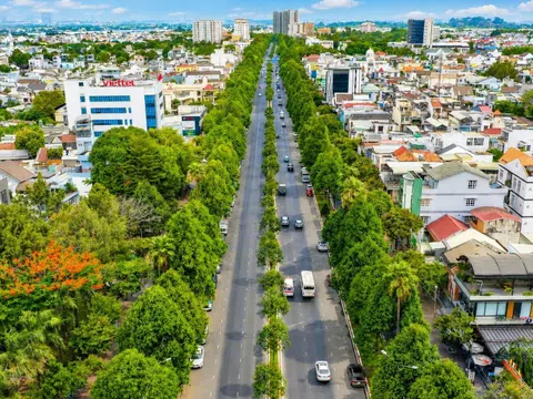 Sinh vật cảnh trước “cú hích đô thị”: Động lực mới trong hành trình xây dựng Đồng Nai thành siêu đô thị xanh