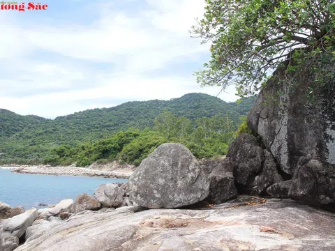 Thiên nhiên: Người thầy vĩ đại và Triết lý độc bản trong nghệ thuật Bonsai